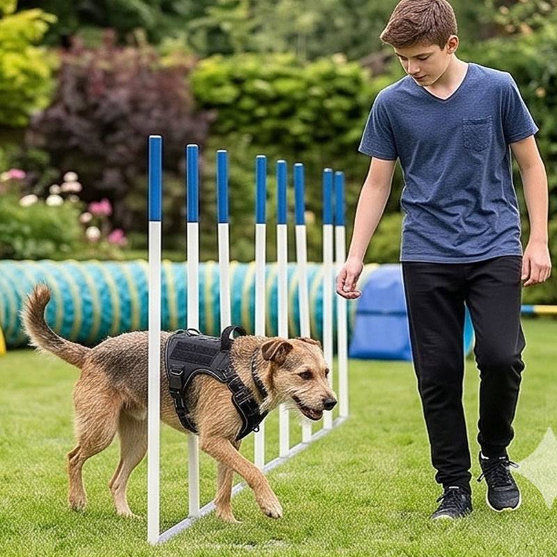 Universal Vest Harness Dog Foo - Food Snacks For Hiking review and price