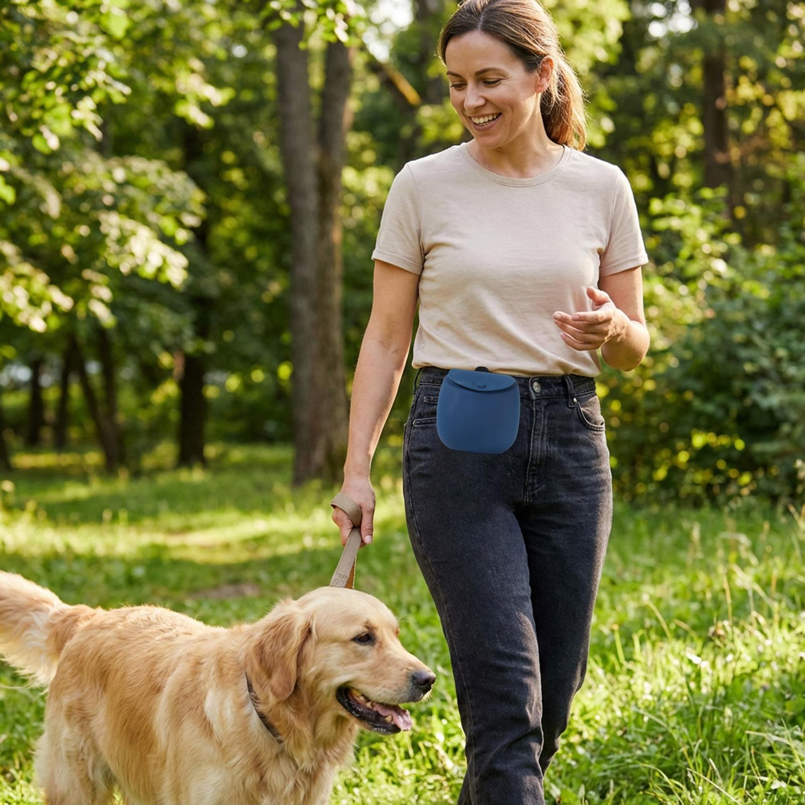 Treat Bag For Dog Training Sil - Food Snacks For Hiking review and price