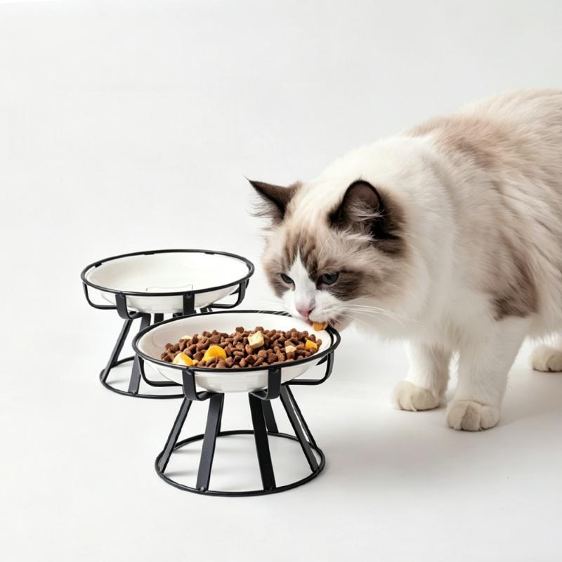 1/2Pcs Food Water Snack Feeder - Food Snacks Drinks review and price